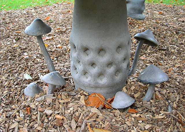 2005 :  Un anno di funghi